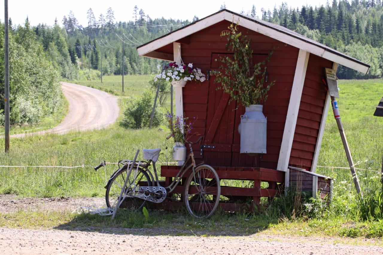 Maekelaen Lomatuvat Bed And Breakfast Korkeakoski  외부 사진