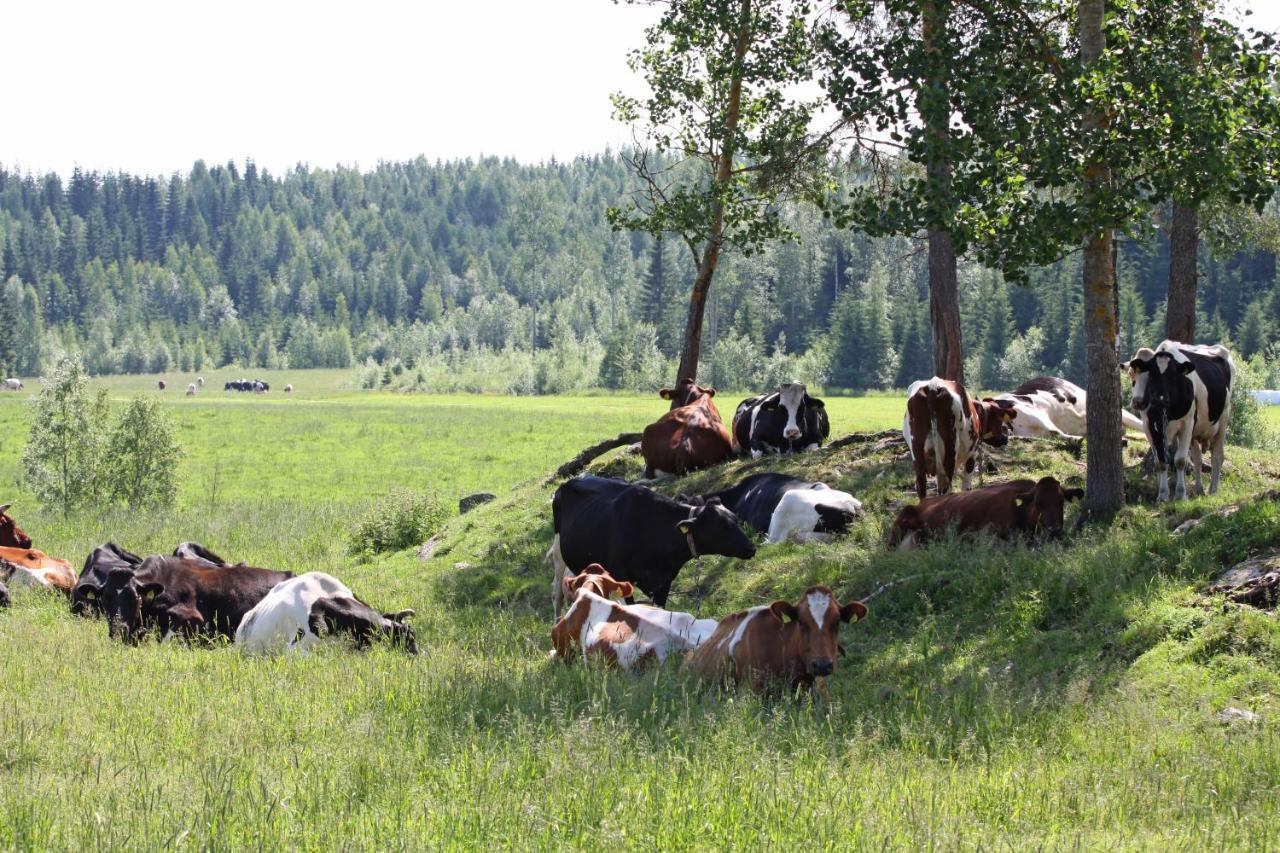 Maekelaen Lomatuvat Bed And Breakfast Korkeakoski  외부 사진