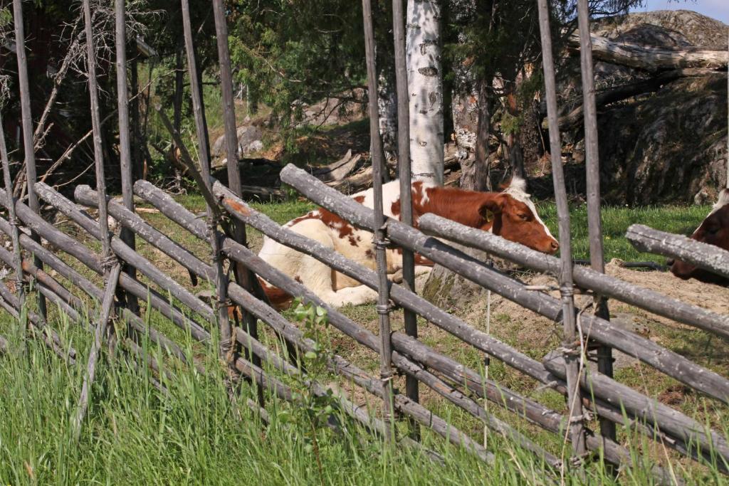 Maekelaen Lomatuvat Bed And Breakfast Korkeakoski  외부 사진